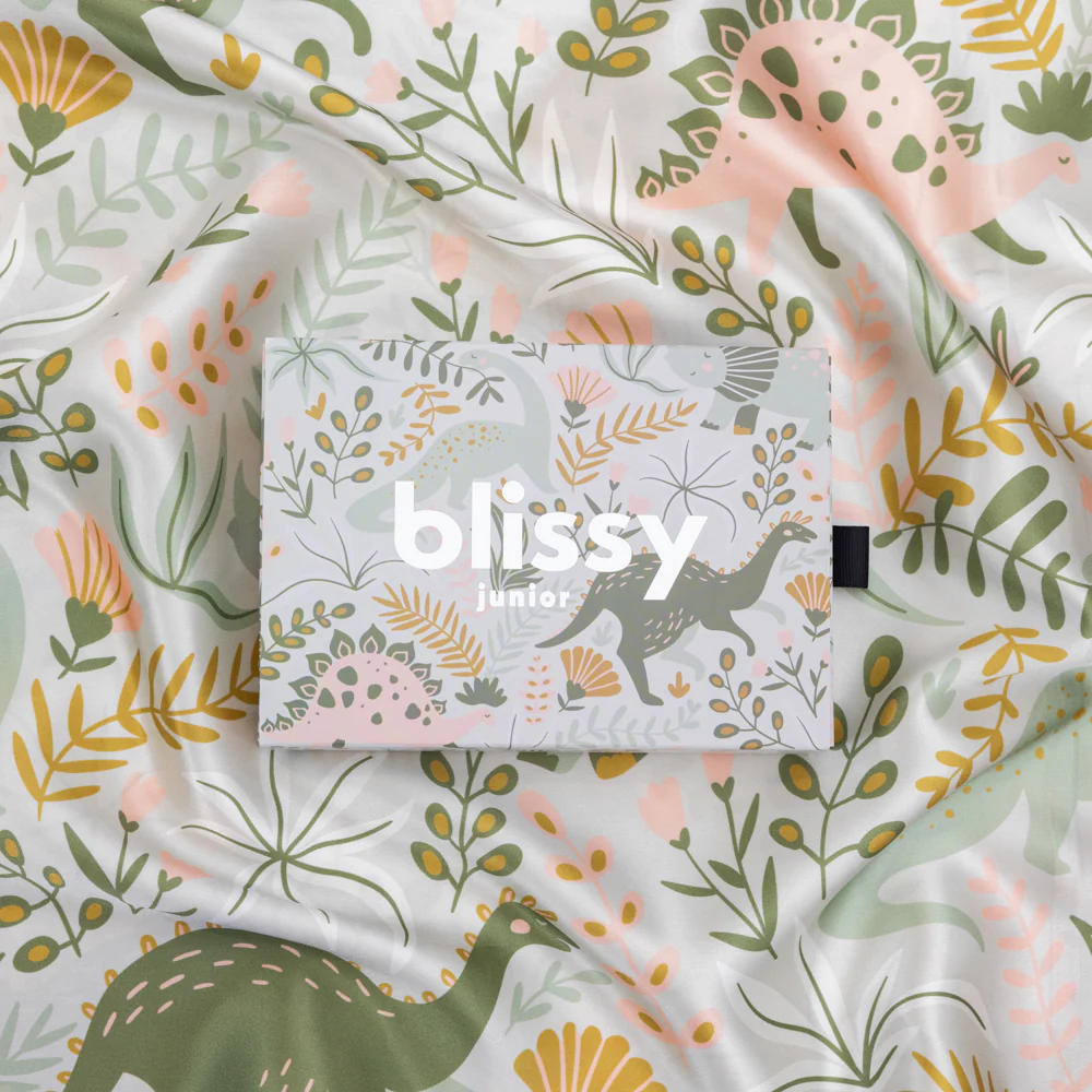 Pillowcase - Dinosaur - Youth - Image 9